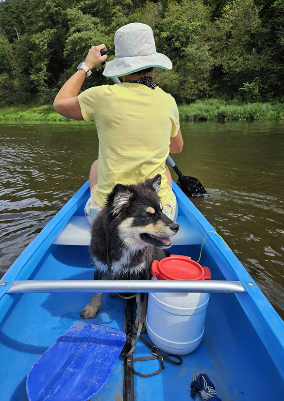 Adak na vodě